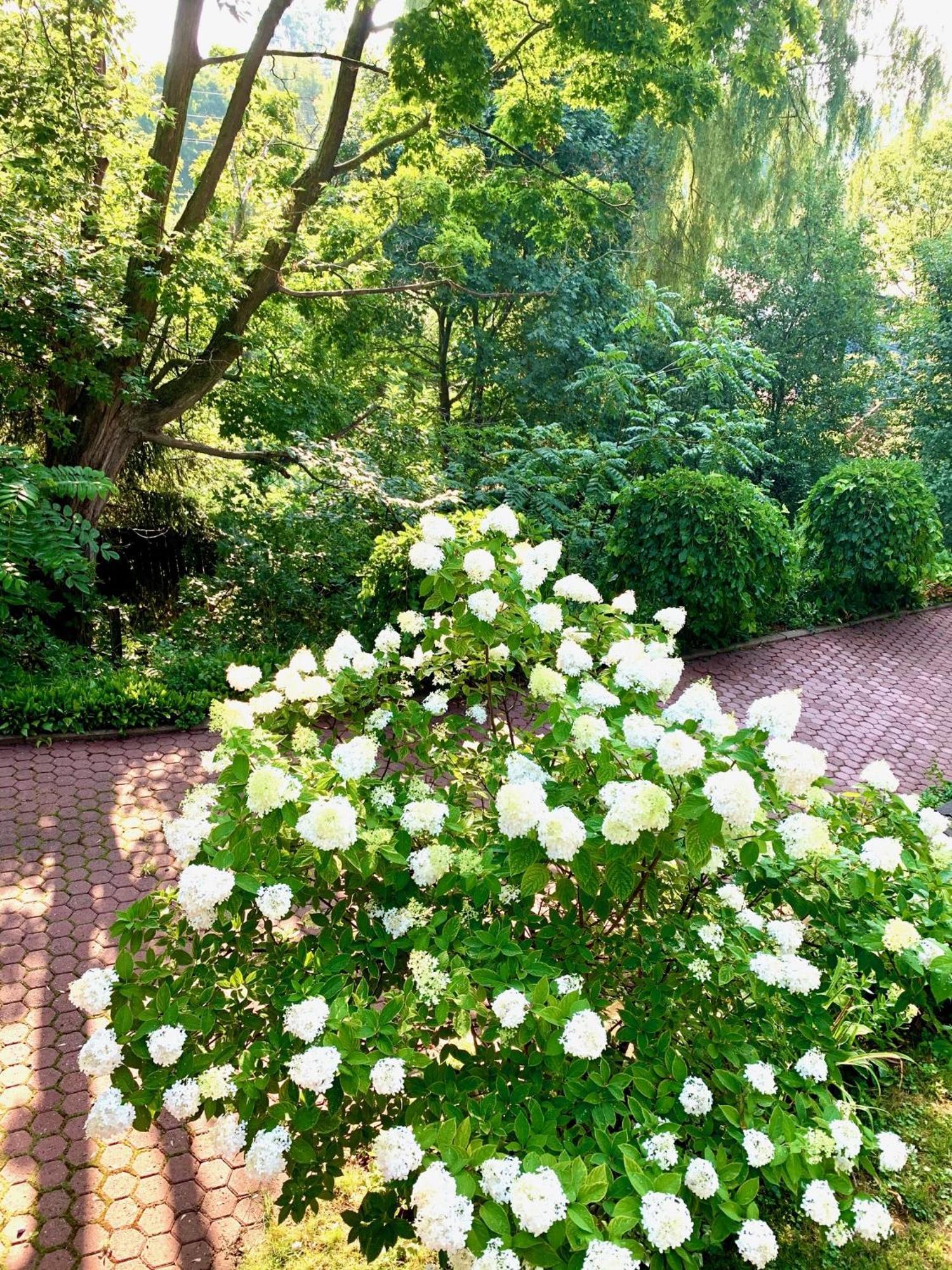 Plantation House Bed & Breakfast Port Hope Eksteriør bilde