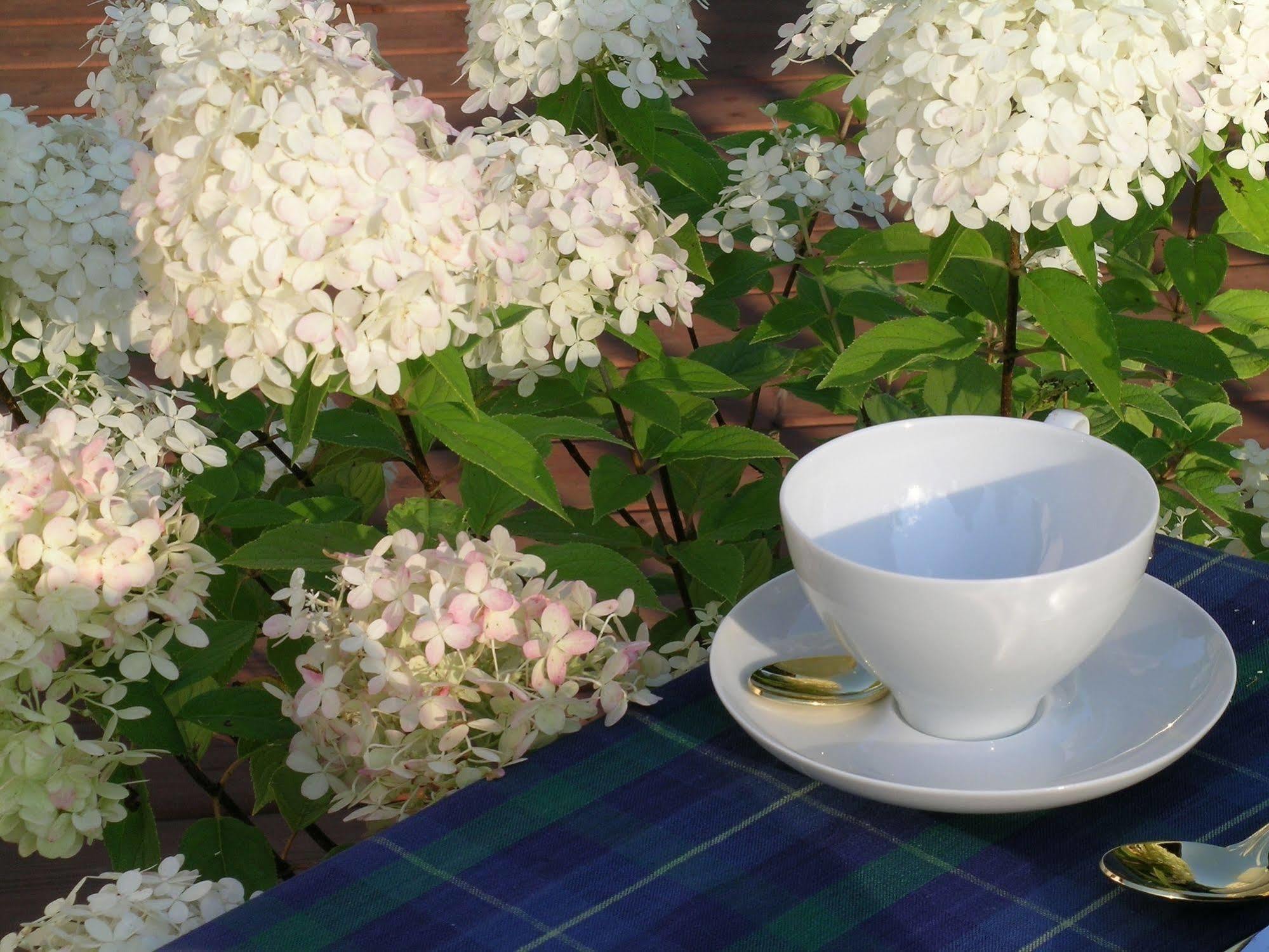 Plantation House Bed & Breakfast Port Hope Eksteriør bilde