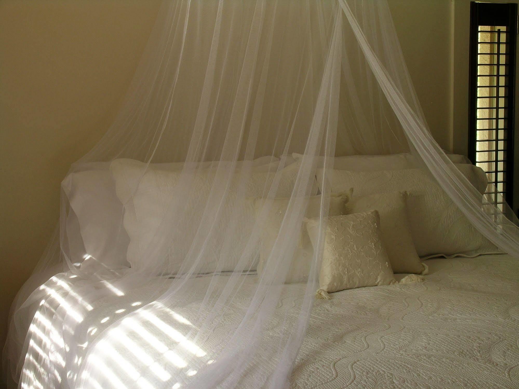 Plantation House Bed & Breakfast Port Hope Eksteriør bilde
